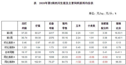 春节临近需求旺，出栏肥猪和猪肉价格涨势明显