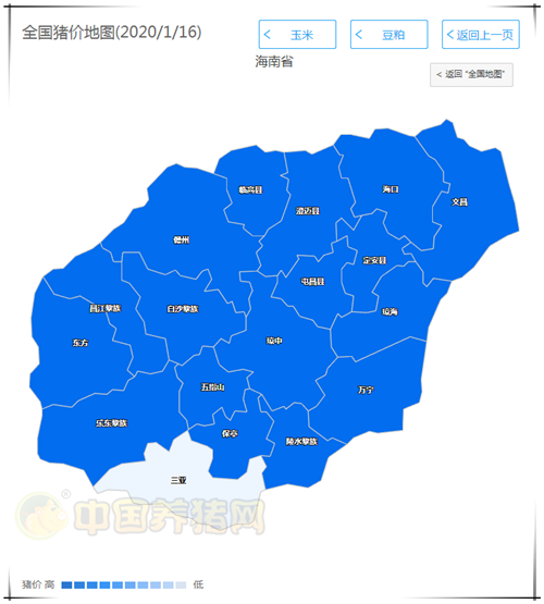 中国养猪网