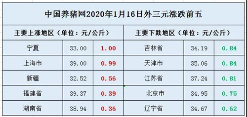 中国养猪网