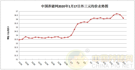 中国养猪网