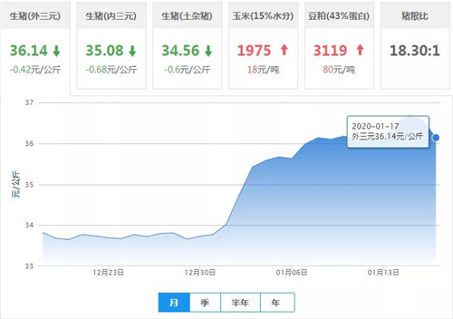 中国养猪网