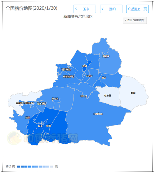 中国养猪网