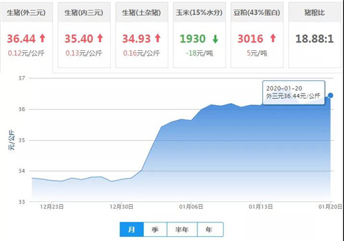 中国养猪网