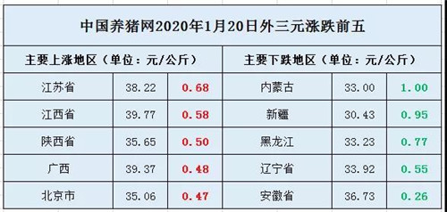 中国养猪网