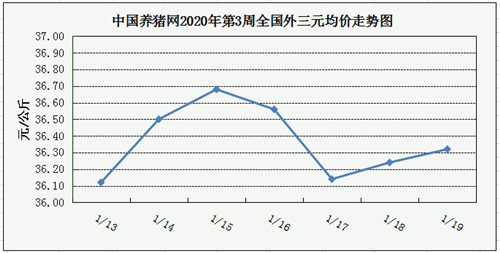 中国养猪网