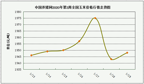 中国养猪网