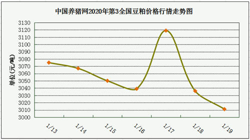 中国养猪网