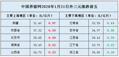 中国养猪网