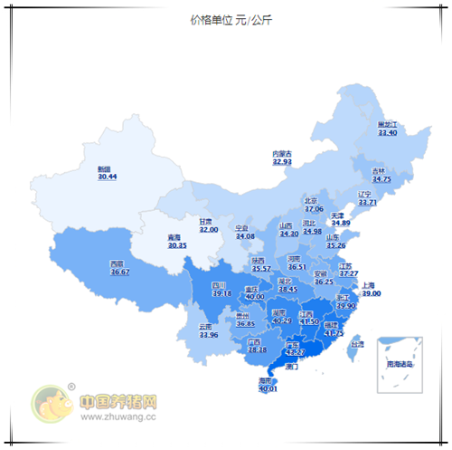 猪价涨不停！畜禽交易再添枷锁，后市如何？
