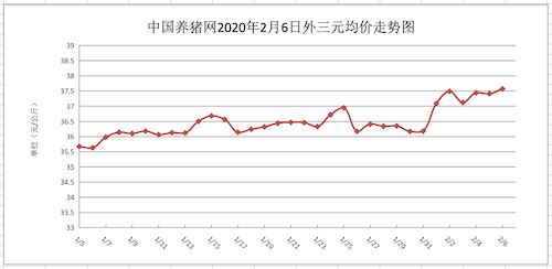 中国养猪网