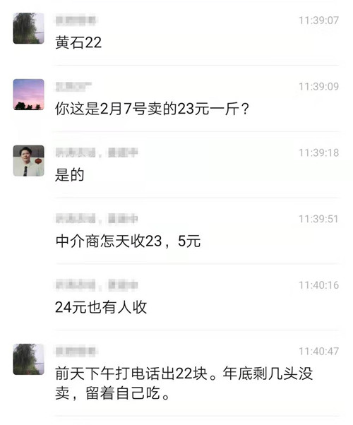 中国养猪网