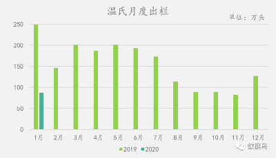 缺猪还是压栏？10大上市猪企1月生猪出栏数据环比大幅下降！