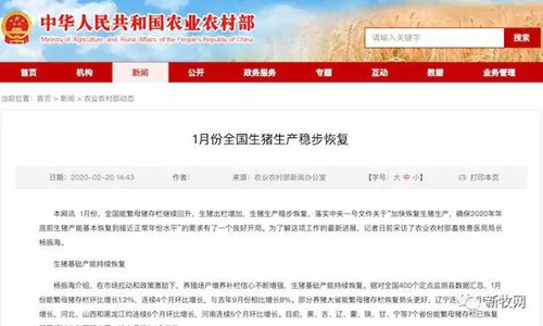 农业农村部：1月生猪出栏环比增18%，7省能繁母猪恢复至去年同期水平