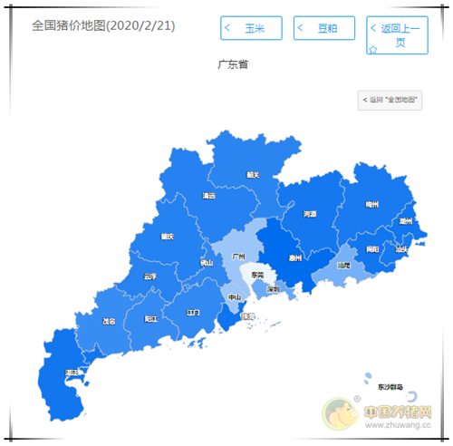 中国养猪网
