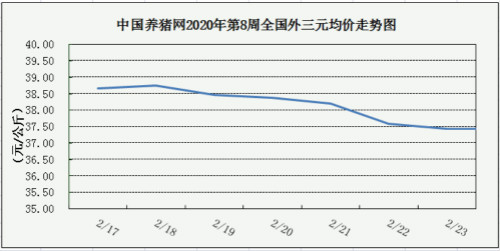 中国养猪网