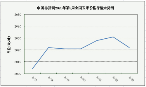 中国养猪网