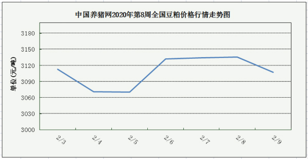 中国养猪网