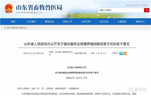 山东十条举措推动畜牧业规模养殖，让养殖禽畜“吃得饱，运得出”