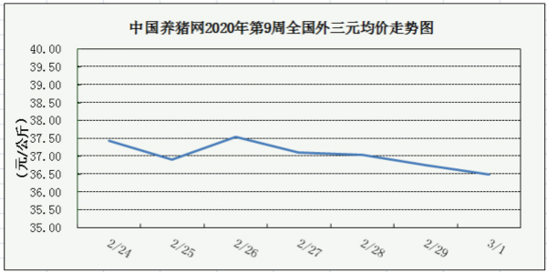 中国养猪网