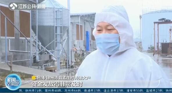 江苏：首单活体抵押贷款发放，1109头生猪贷了80万元！