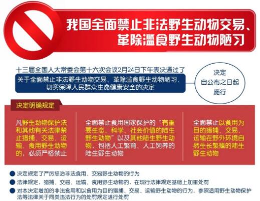 全国人大常委会决定亮点解读：确立全面禁食野生动物制度