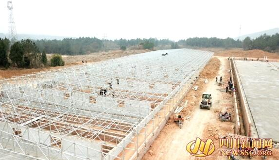 2.2亿元财政支持+奖补配套设施，江油生猪养殖在“回血”