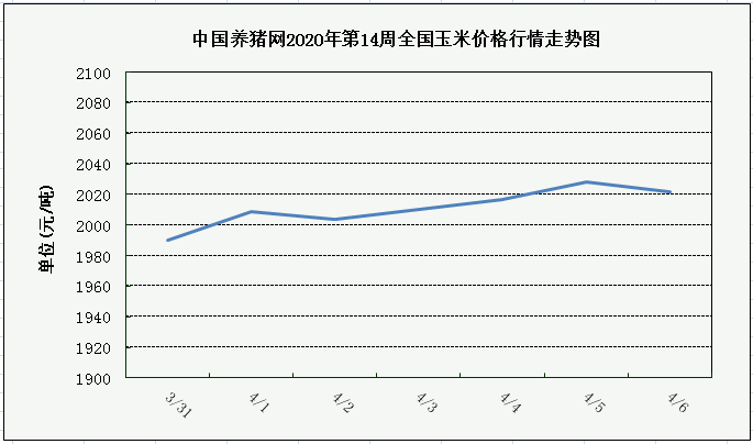 中国养猪网