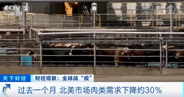 美国最大猪肉加工厂之一宣布