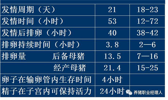 批次生产中空怀母猪催情程序