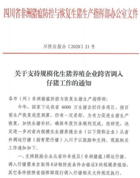 仔猪价格暴涨221.95%！四川解禁从省外调运仔猪，为期99天