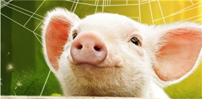 农业农村部：猪肉价格继续回落，蔬菜价格全面下降