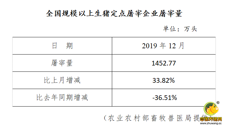 全国规模以上生猪定点屠宰企业屠宰量 （2019年12月）