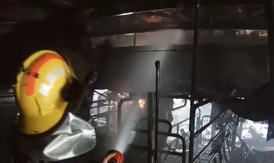 安徽：90多头生猪被活活烧死！损失高达百万元