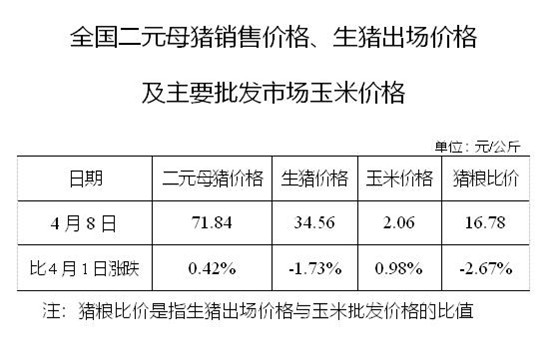 2020年04月08日猪粮比：生猪价格及玉米批发价格