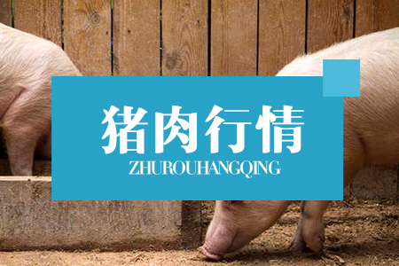 2020年05月14日全国各省市猪白条肉价格行情走势