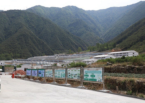 一个彝族家庭的脱贫“小故事”和背后的“大工程”