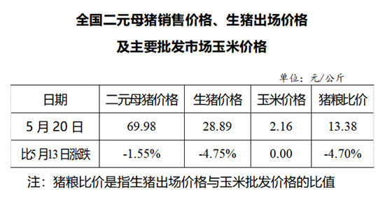 2020年05月20日猪粮比：生猪价格及玉米批发价格