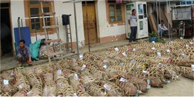 4月生猪产业发展指数继续大幅回落，猪肉市场供求关系趋向缓解