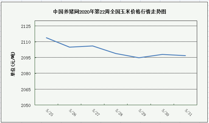 中国养猪网