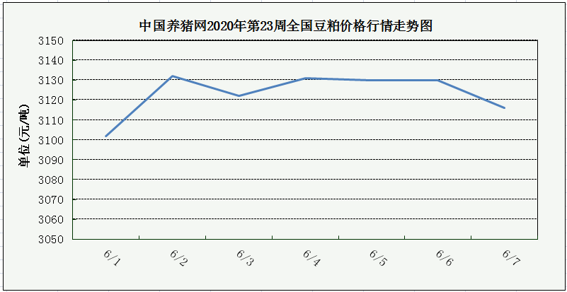 中国养猪网