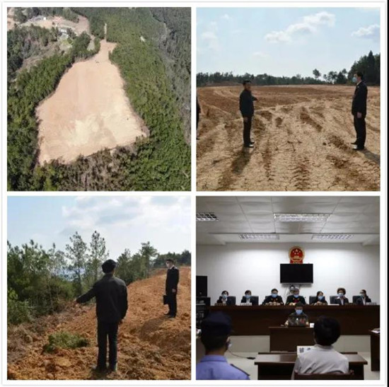 不办林地使用手续，就建猪场？占用9494平方米，挖机毁林……