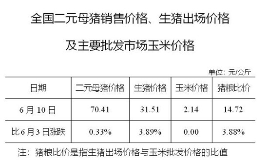 2020年06月10日猪粮比：生猪价格及玉米批发价格