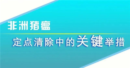 非洲猪瘟定点清除中的关键举措