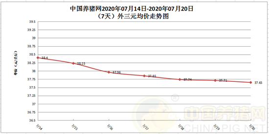 猪价再呈小幅调整，东北涨势已初步酝酿成型！