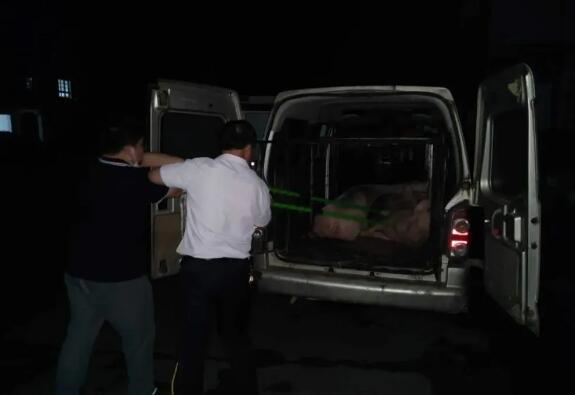 深度调查处理“非法调运生猪”事件！