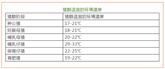 热应激对母猪繁殖性能的影响及防控措施