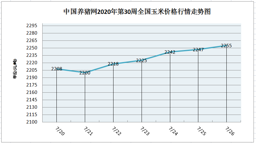 中国养猪网