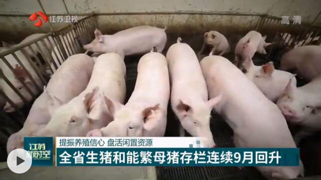 江苏：生猪和能繁母猪存栏连续9月回升