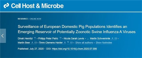 又一批潜在人畜共患流感病毒被发现！科学家对欧洲养猪场1.8万多个样本进行监测