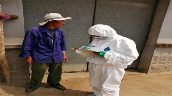 威海市文登区开展违法违规调运生猪行为专项打击行动